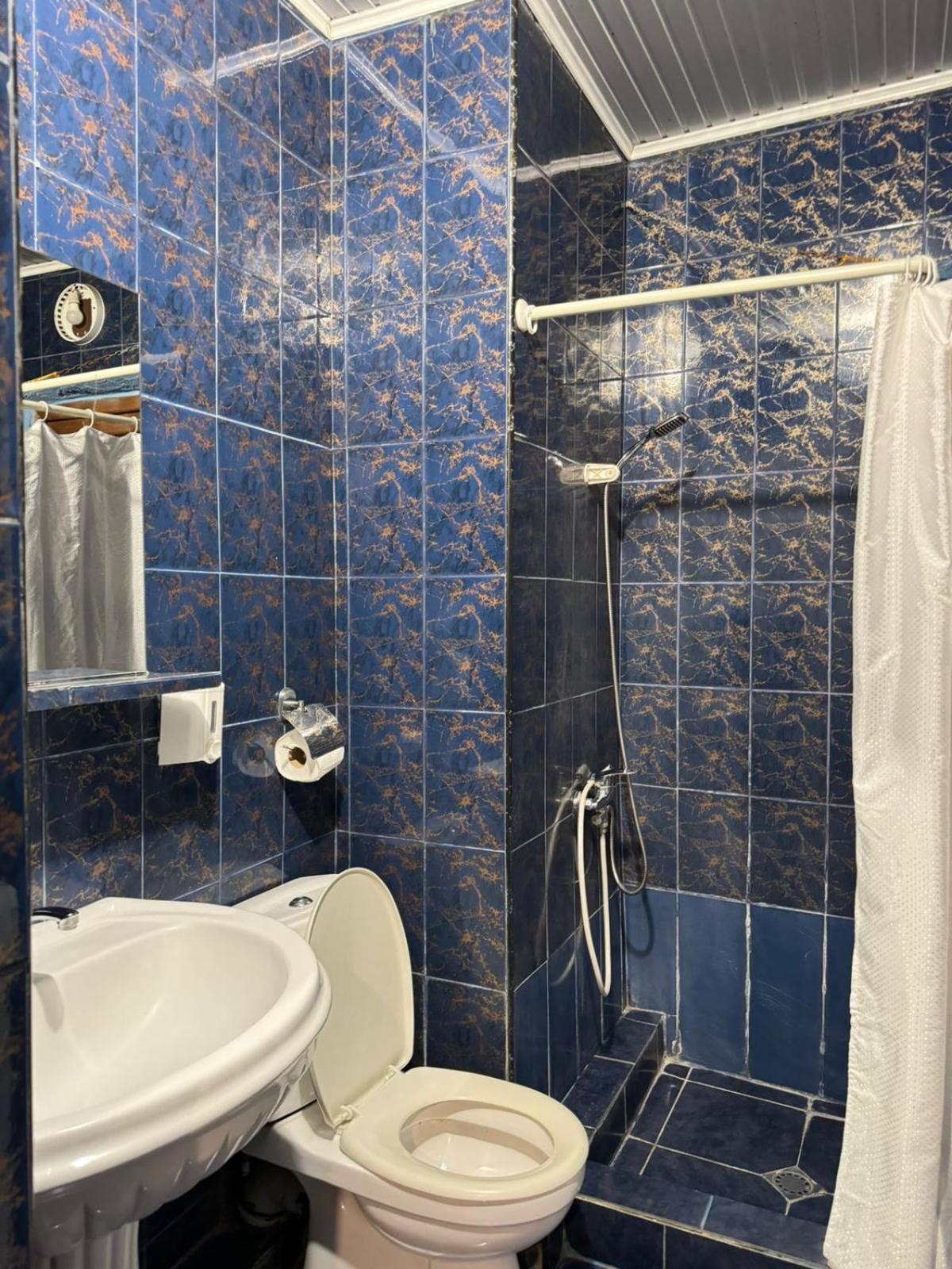 Benene'S Apartments تبليسي الغرفة الصورة